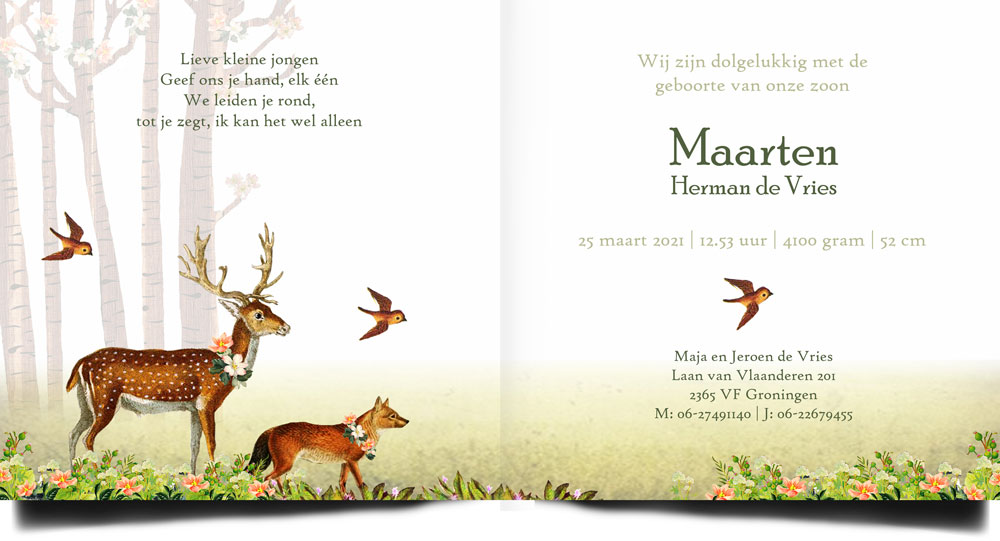 Geboortekaartje nostalgisch bos met vos, hert, konijn en vogeltje. Een romantisch geboortekaartje voor hem en haar.
