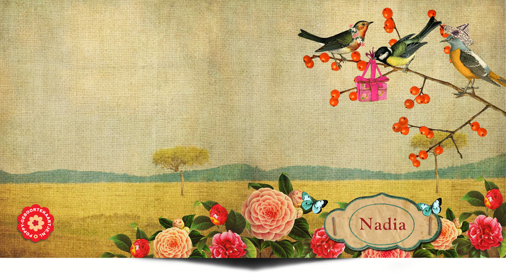 Geboortekaartje nostalgisch vintage met vogels. Een prachtige gedecoreerde geboortekaart met nostalgische afbeeldingen van vogels, vlinders en bloemen. Een geboortekaartje met een knipoog naar vroeger maar in een jasje van nu.