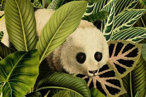 Een jungle behang of canvas met botanische planten. Als je goed zoekt zie je een beer, panda, aap, baviaan, tijger en toekan.