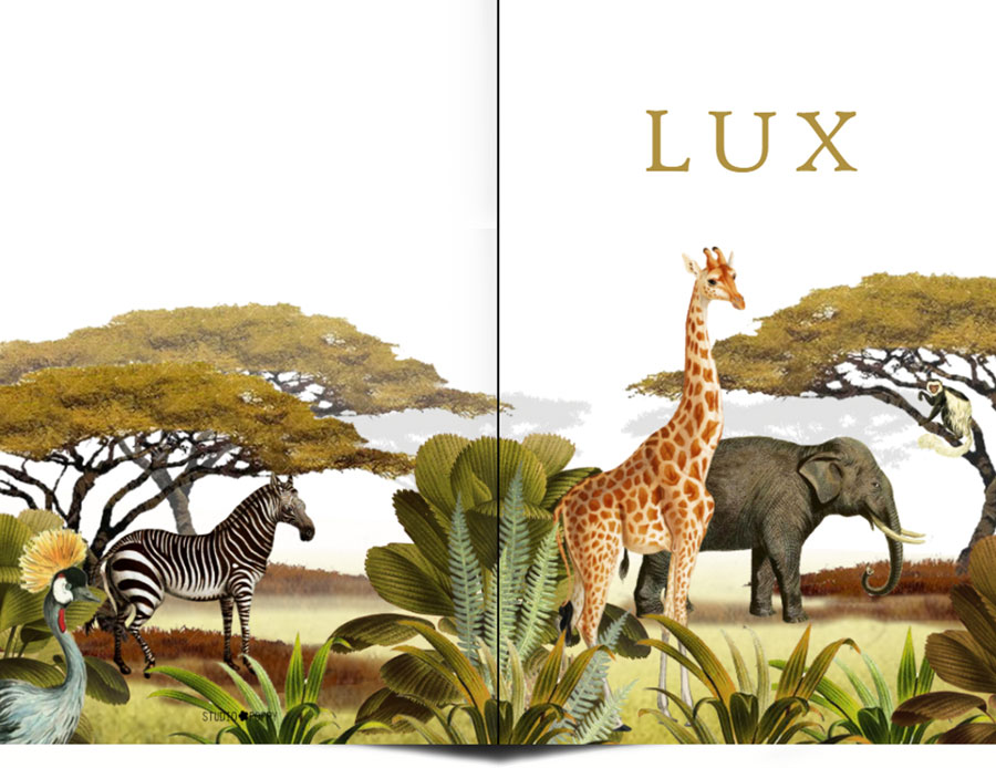 Geboortekaartje giraffe botanisch jungle savanne. Alle jungle dieren zijn vertegenwoordigd, de giraffe, olifant, zebra. Dit vintage kaartje gaat helemaal met de laatste trends mee. Met de gratis proefdruk.